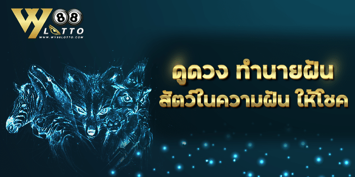 WY88Lotto-ดูดวง-สัตวในฝัน Cov800