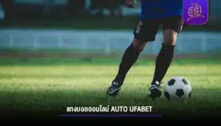 แทงบอลออนไลน์ auto ufabet เว็บพนันออนไลน์ บริการครบวงจร